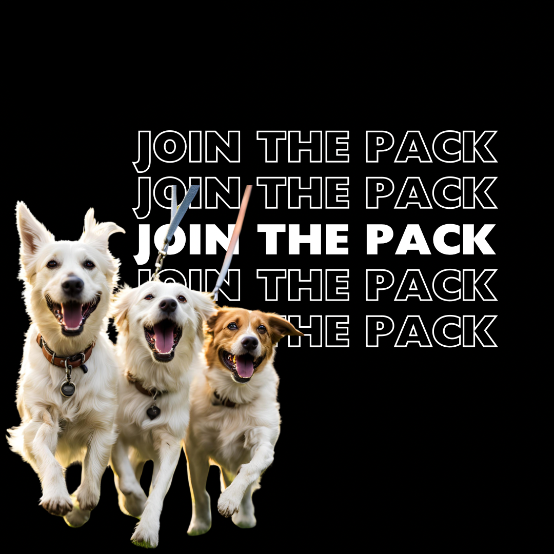 Join Us at the Classic & Modified Cars and Bikes Show – Supporting Andy’s Man Club