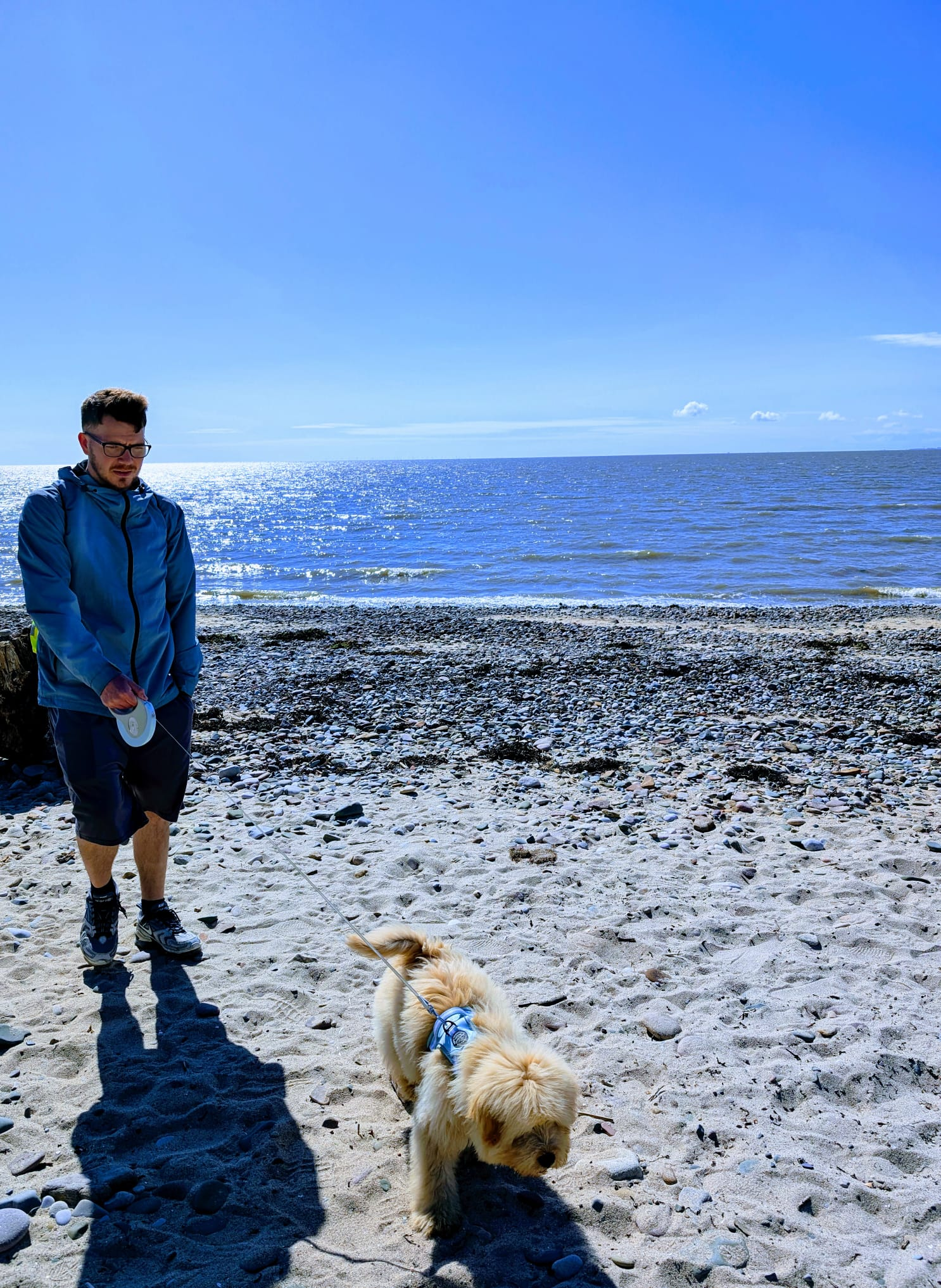 We’ve Been Nominated for the Animal Star Awards 2025! 🏆🐾